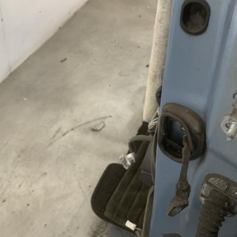 Porte avant gauche RENAULT SCENIC 3 Photo n°3