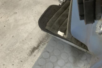 Porte avant gauche RENAULT SCENIC 3