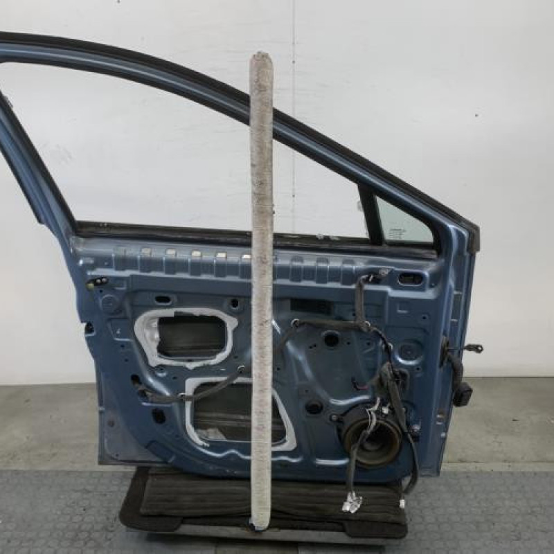 Porte avant gauche RENAULT SCENIC 3 Photo n°5
