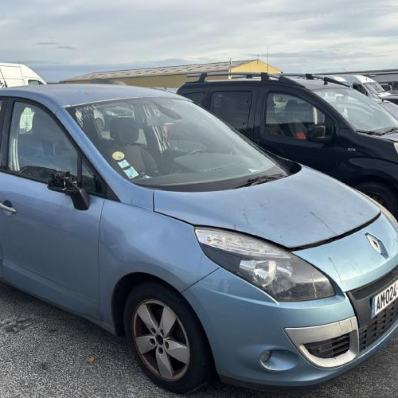 Porte avant gauche RENAULT SCENIC 3 Photo n°9