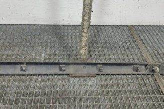 Baguette de porte avant gauche RENAULT CLIO 3