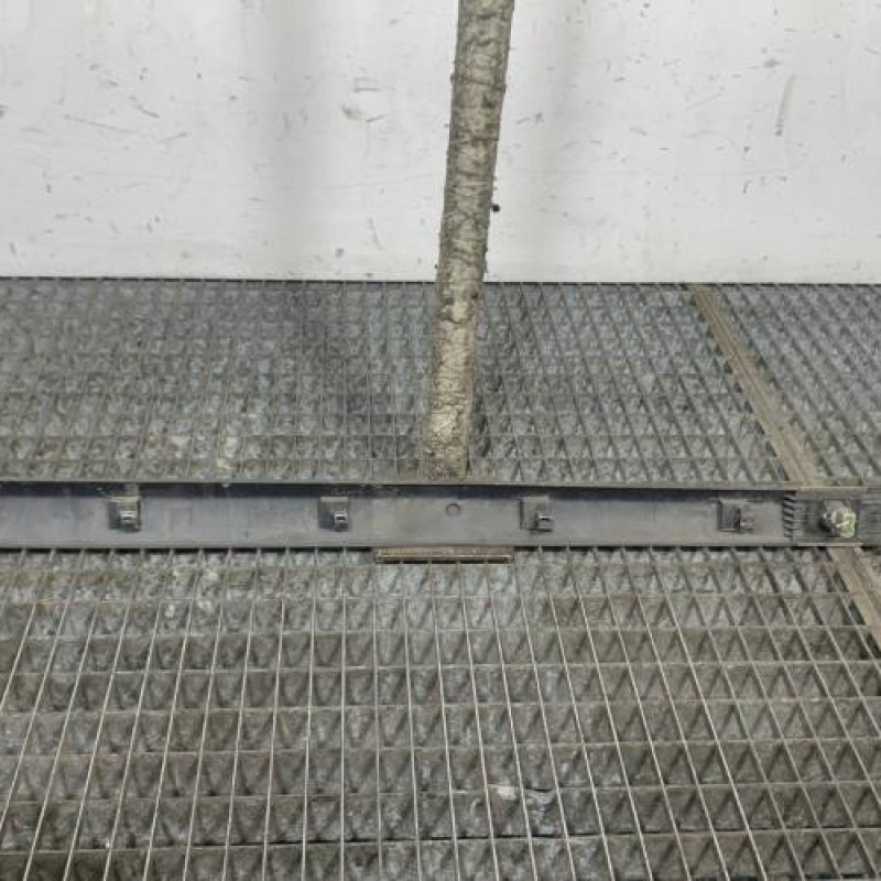 Baguette de porte avant gauche RENAULT CLIO 3 Photo n°4