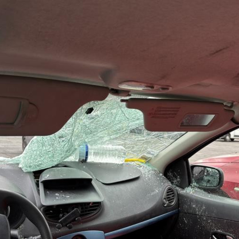 Baguette de porte avant gauche RENAULT CLIO 3 Photo n°18