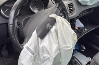 Feu arriere principal gauche (feux) PEUGEOT 207