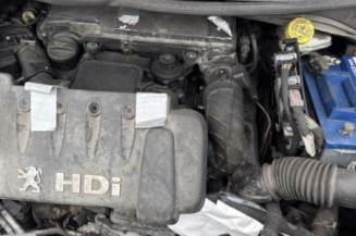 Feu arriere principal gauche (feux) PEUGEOT 207