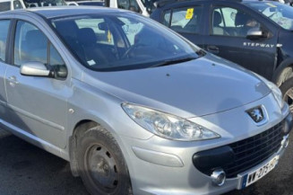 Feu arriere stop central PEUGEOT 307