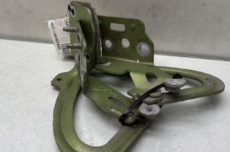 Charniere de capot PEUGEOT 1007 Photo n°1