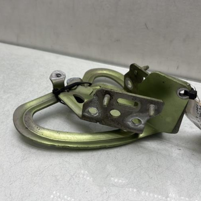 Charniere de capot PEUGEOT 1007 Photo n°2