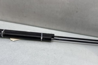 Verin de coffre FORD KUGA 1