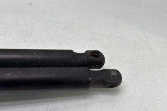 Verin de coffre FORD KUGA 1