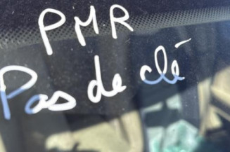 Porte arriere droit BMW SERIE 5 E39