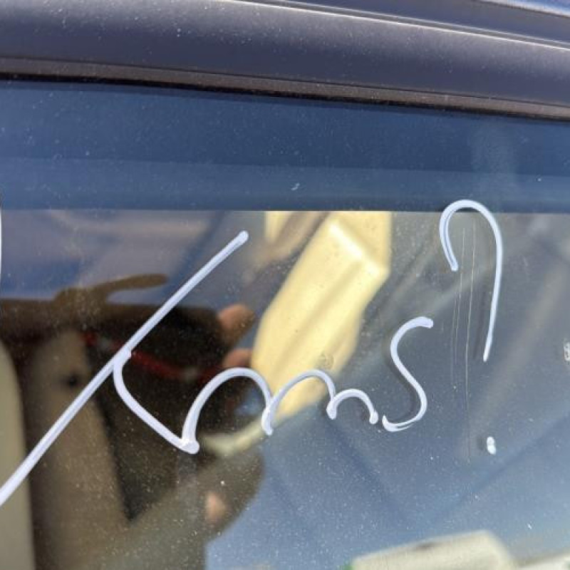 Porte arriere droit BMW SERIE 5 E39 Photo n°18