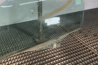 Vitre avant gauche PEUGEOT 207