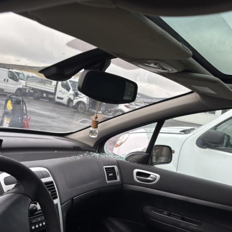 Feu arriere principal gauche (feux) PEUGEOT 307 Photo n°17