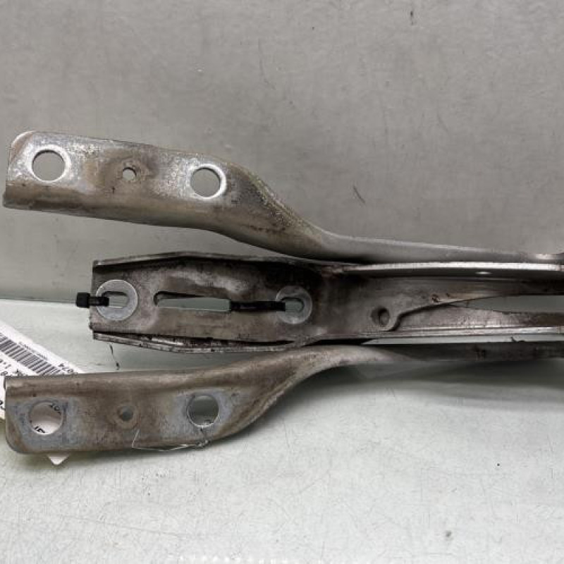 Charniere de capot PEUGEOT 307 Photo n°3