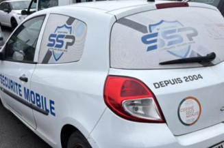 Pivot de moyeu avant gauche RENAULT CLIO 3