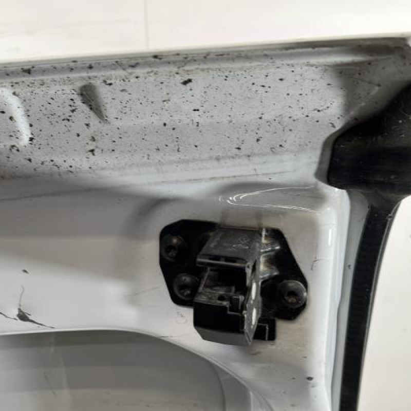 Porte de coffre droit RENAULT KANGOO 2 Photo n°6