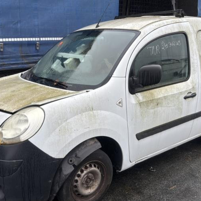 Porte de coffre droit RENAULT KANGOO 2 Photo n°10