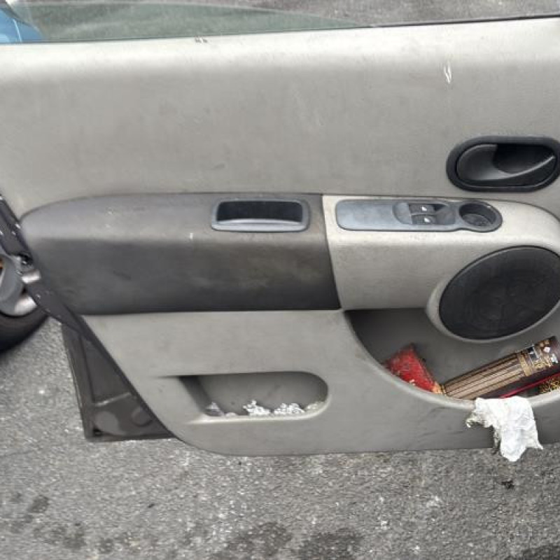 Custode avant droit (porte) RENAULT MODUS Photo n°13