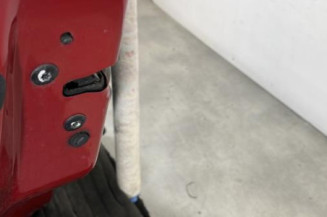 Porte arriere gauche CITROEN C3 2