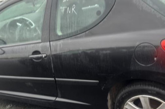 Custode avant droit (porte) PEUGEOT 207