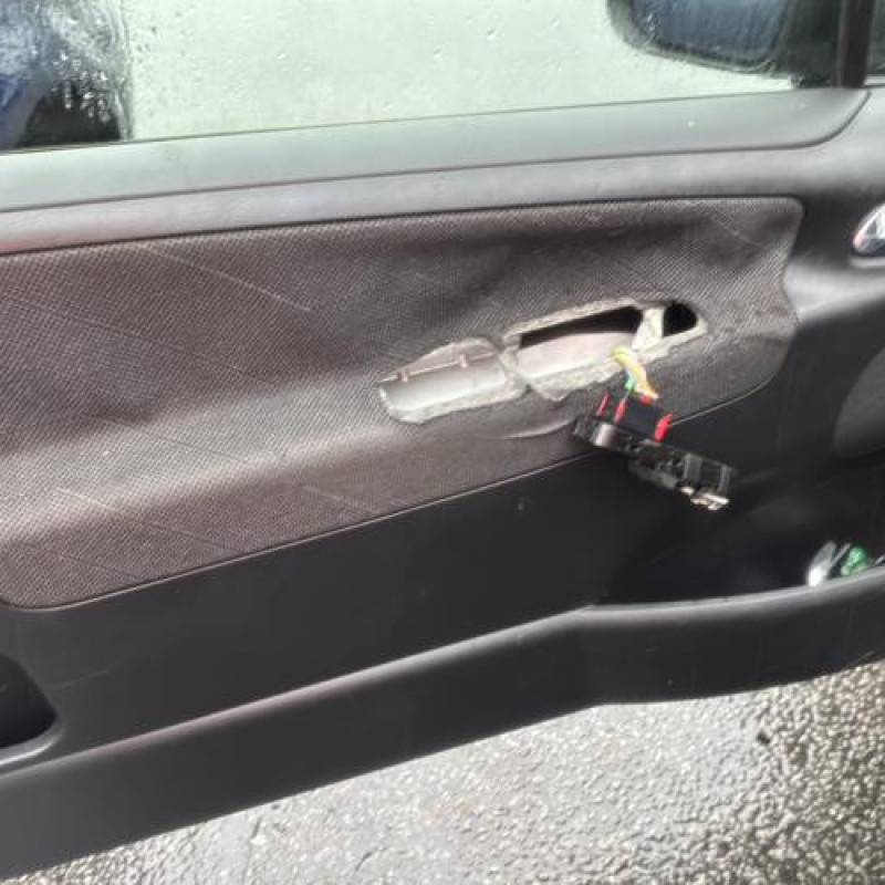 Custode avant droit (porte) PEUGEOT 207 Photo n°13