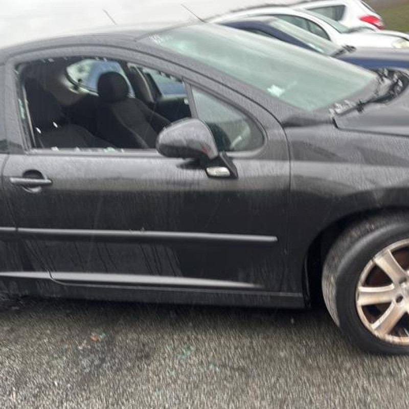 Custode avant gauche (porte) PEUGEOT 207 Photo n°8