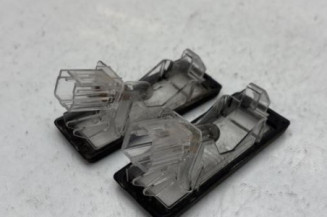 Eclairage de plaque RENAULT GRAND SCENIC 3