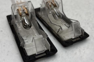 Eclairage de plaque RENAULT GRAND SCENIC 3