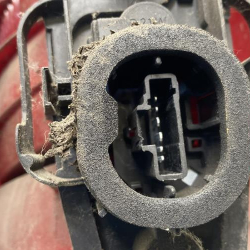 Feu arriere principal gauche (feux) CITROEN C2 Photo n°3