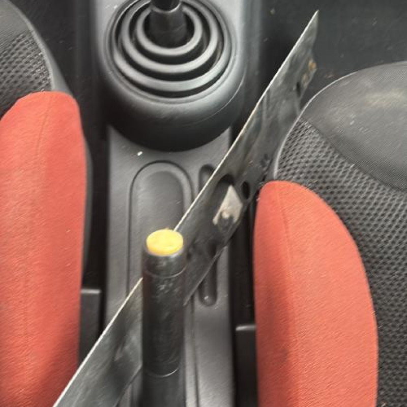 Poignee porte avant droit CITROEN C2 Photo n°18