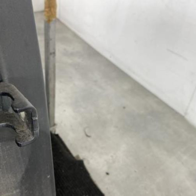 Porte arriere droit PEUGEOT 206+ Photo n°4