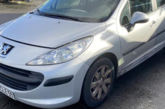 Catalyseur (echappement) PEUGEOT 207