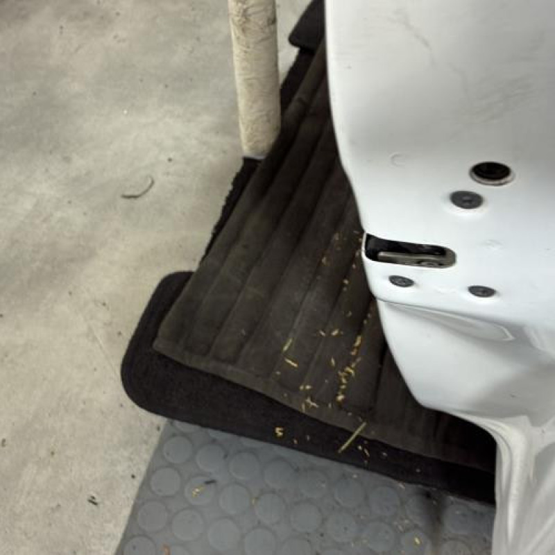 Porte avant droit CITROEN C3 1 Photo n°3