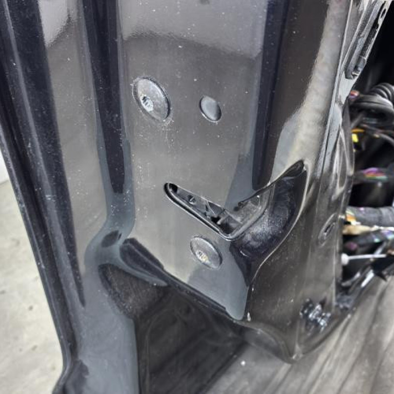 Porte avant gauche VOLKSWAGEN POLO 5 Photo n°4