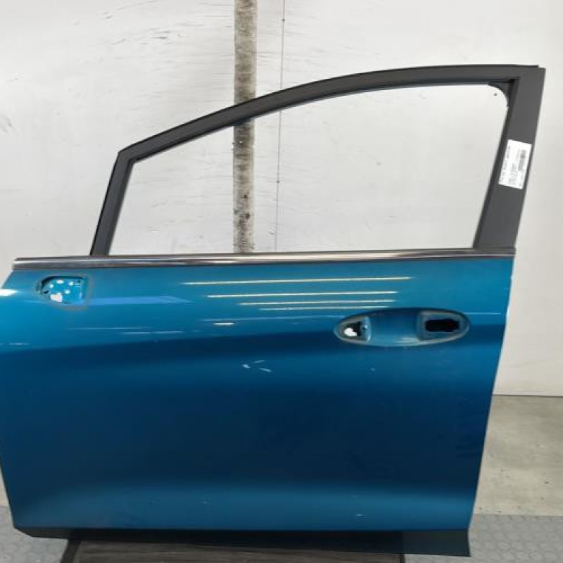 Porte avant gauche FORD FIESTA 7 Photo n°1