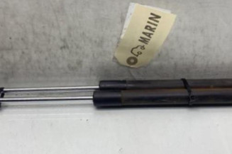 Verin de coffre RENAULT CLIO 3