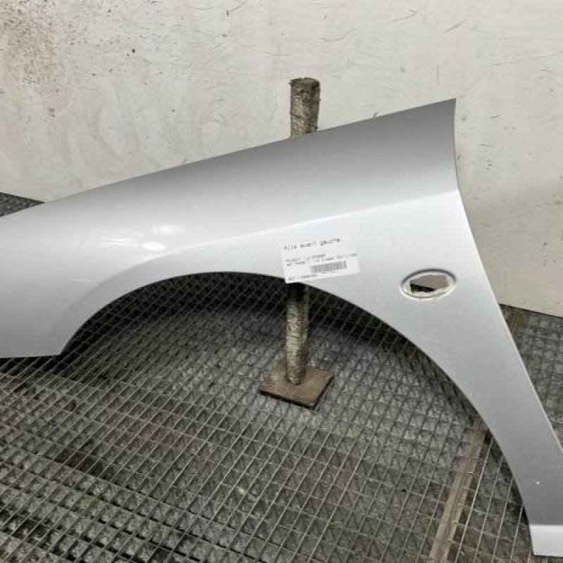 Aile avant gauche PEUGEOT 407 Photo n°3