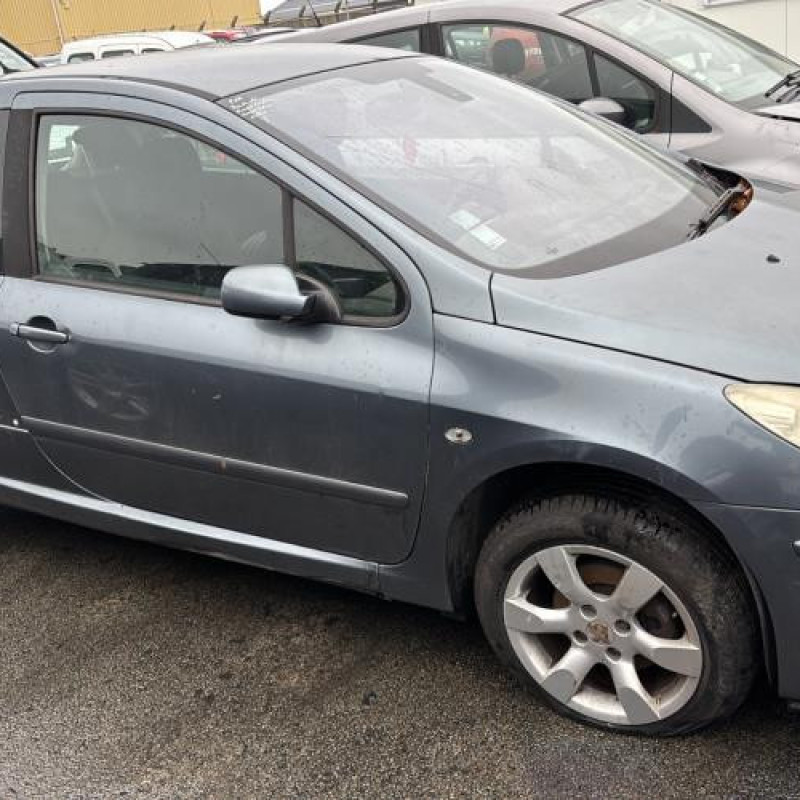 Custode arriere gauche PEUGEOT 307 Photo n°8