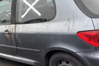 Custode arriere gauche PEUGEOT 307