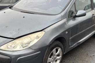 Custode avant droit (porte) PEUGEOT 307