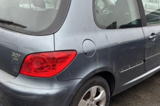 Custode avant droit (porte) PEUGEOT 307