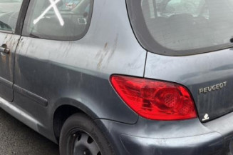 Custode avant gauche (porte) PEUGEOT 307