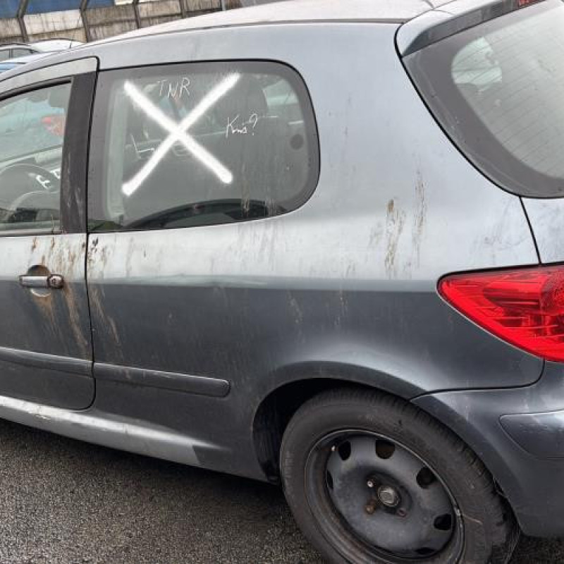 Custode avant gauche (porte) PEUGEOT 307 Photo n°12