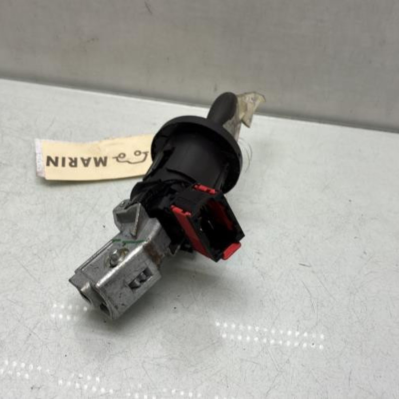 Neiman RENAULT KANGOO 2 Photo n°4