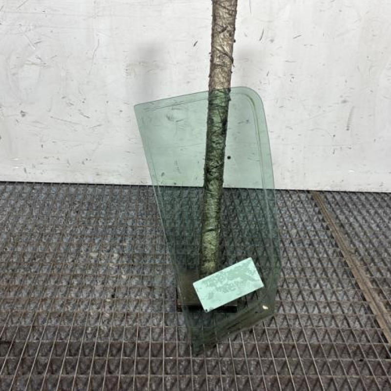 Custode arriere droit (porte) RENAULT CLIO 3 Photo n°4