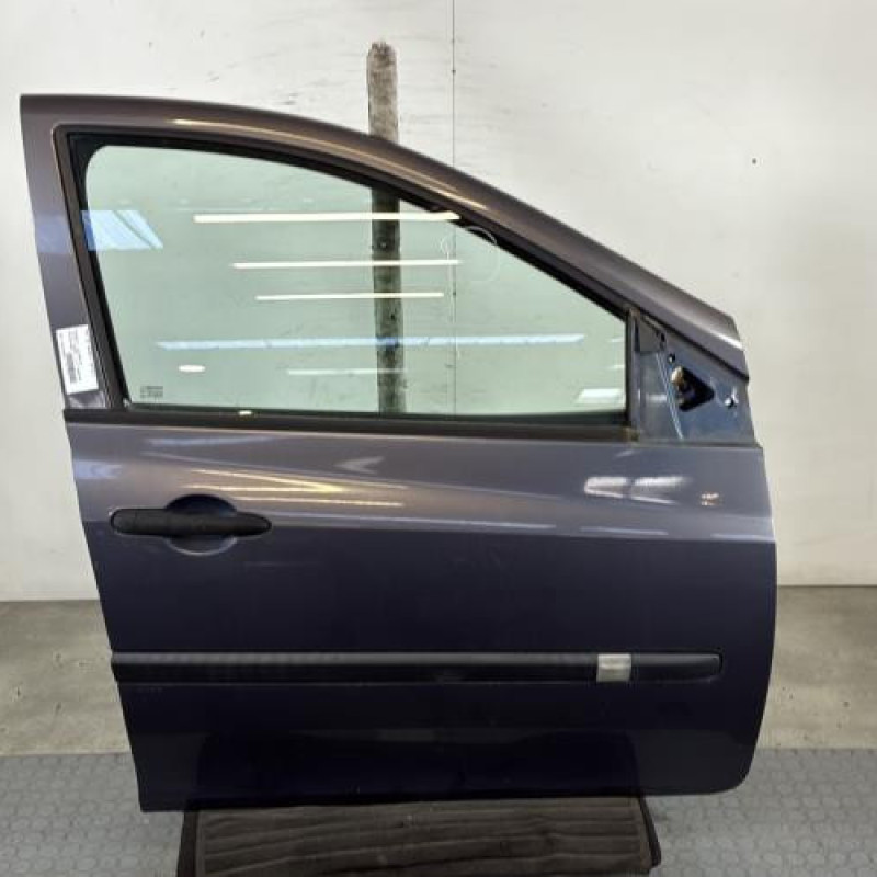 Porte avant droit RENAULT CLIO 3 Photo n°1