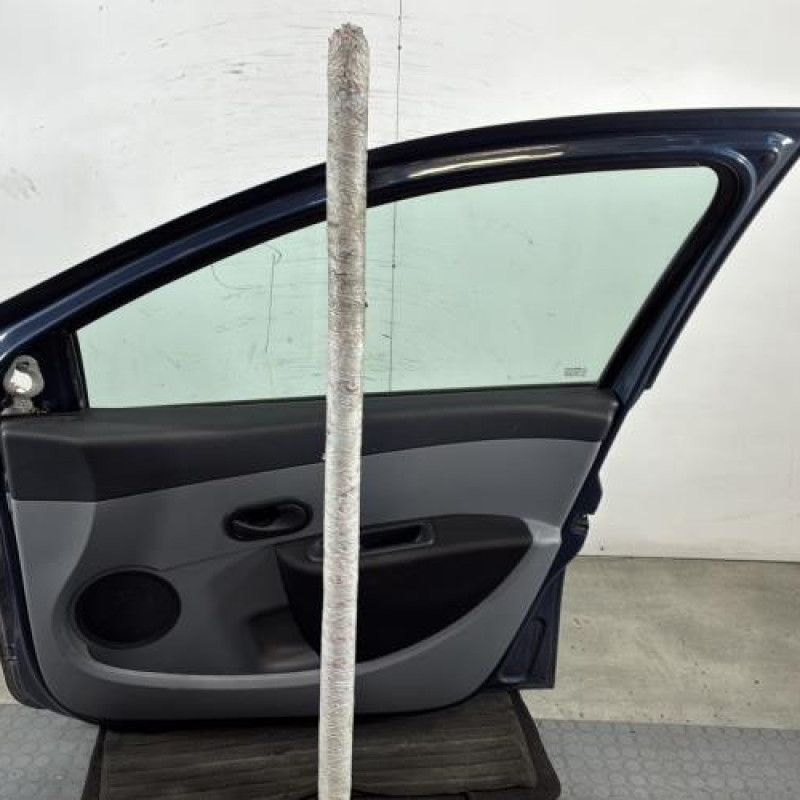 Porte avant droit RENAULT CLIO 3 Photo n°6