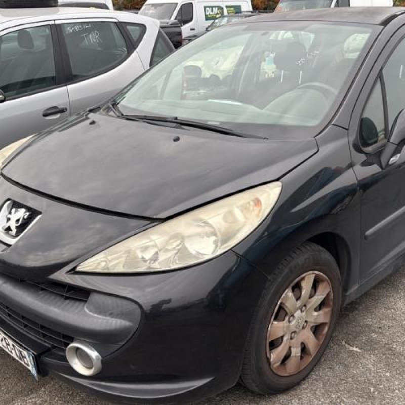 Neiman PEUGEOT 207 Photo n°4