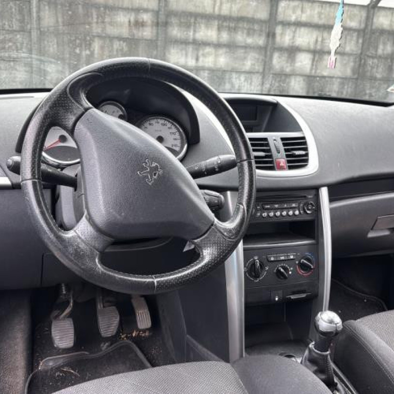 Neiman PEUGEOT 207 Photo n°17